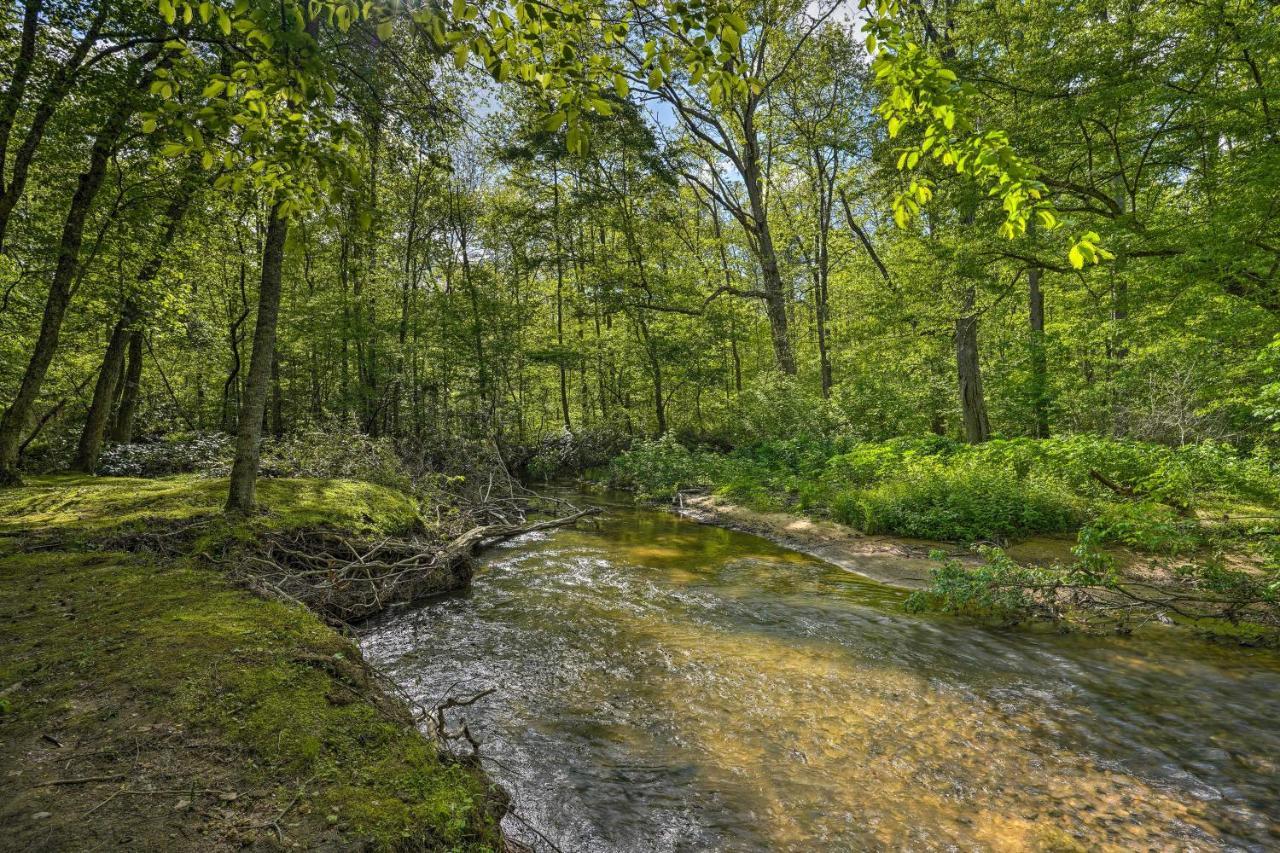 Cozy Tellico Plains Cabin With Large Mountain Creek! Εξωτερικό φωτογραφία